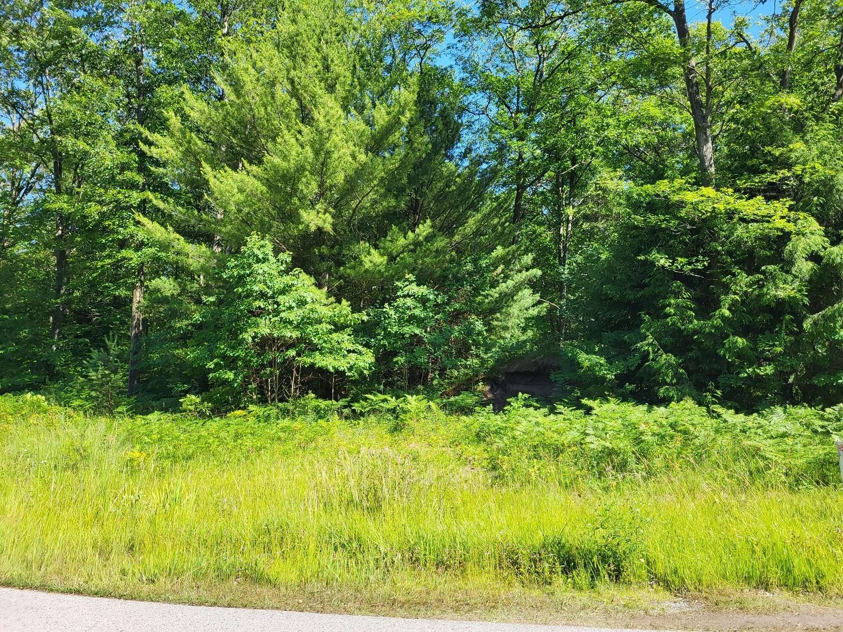 1.1 Acres of Residential Land for Sale in Whitehall, Michigan