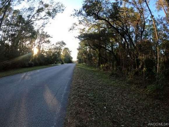 1 Acre of Residential Land for Sale in Hernando, Florida