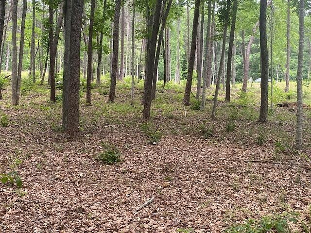 0.94 Acres of Residential Land for Sale in Wirtz, Virginia