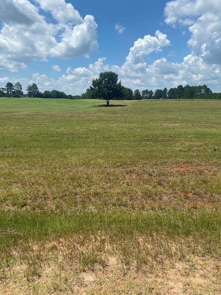 0.5 Acres of Residential Land for Sale in Hawkinsville, Georgia