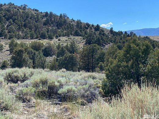 120 Acres of Recreational Land for Sale in Gardnerville, Nevada