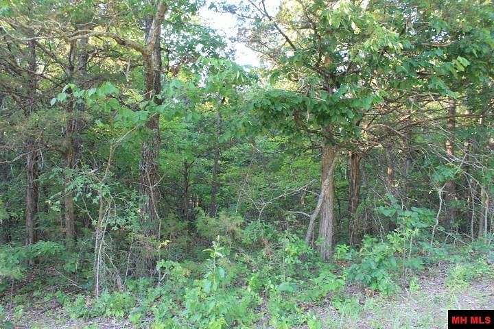 0.92 Acres of Residential Land for Sale in Mountain Home, Arkansas