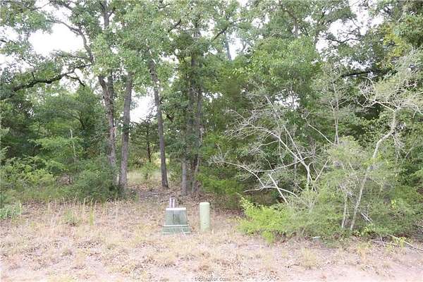 0.22 Acres of Mixed-Use Land for Sale in Bryan, Texas