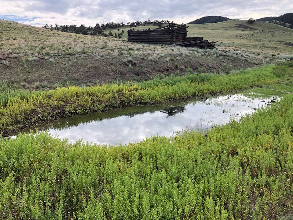 482 Acres of Recreational Land for Sale in Hartsel, Colorado