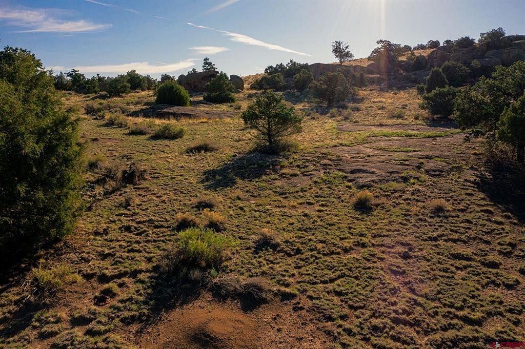 58 Acres of Recreational Land for Sale in Del Norte, Colorado
