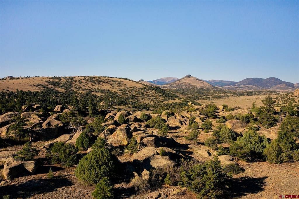 49.5 Acres of Recreational Land for Sale in Del Norte, Colorado
