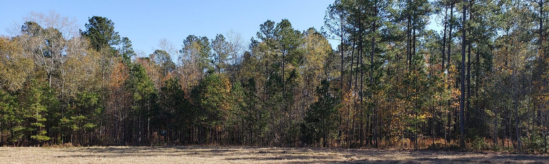 1.5 Acres of Land for Sale in Ridgeville, South Carolina