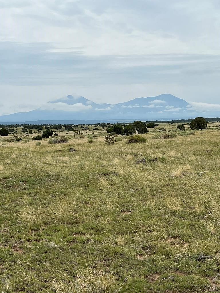 5 Acres of Residential Land for Sale in Walsenburg, Colorado