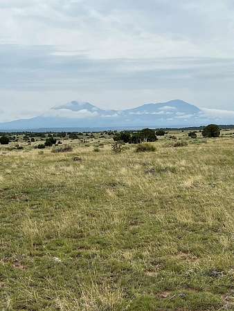 5 Acres of Recreational Land for Sale in Walsenburg, Colorado