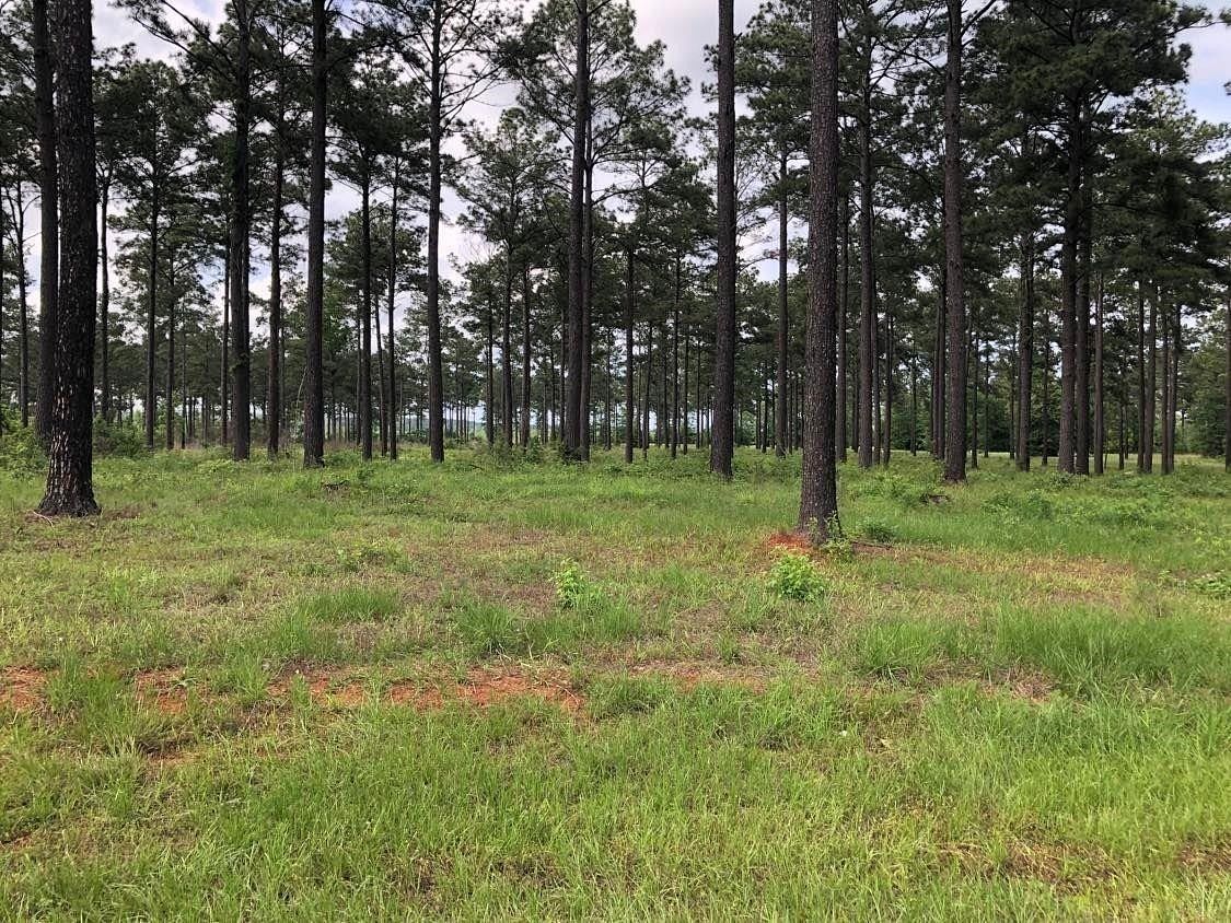 1.3 Acres of Residential Land for Sale in Hemphill, Texas