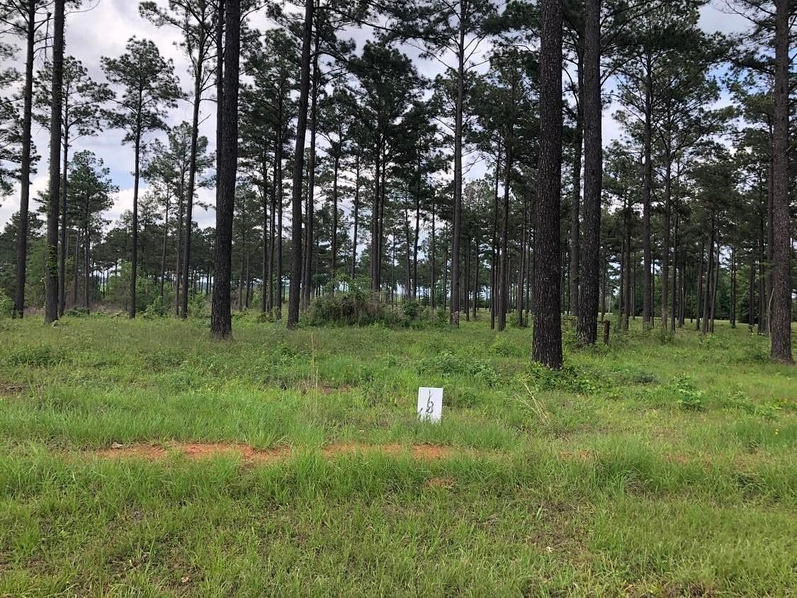 1.3 Acres of Residential Land for Sale in Hemphill, Texas