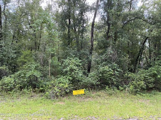 0.38 Acres of Residential Land for Sale in Citrus Springs, Florida