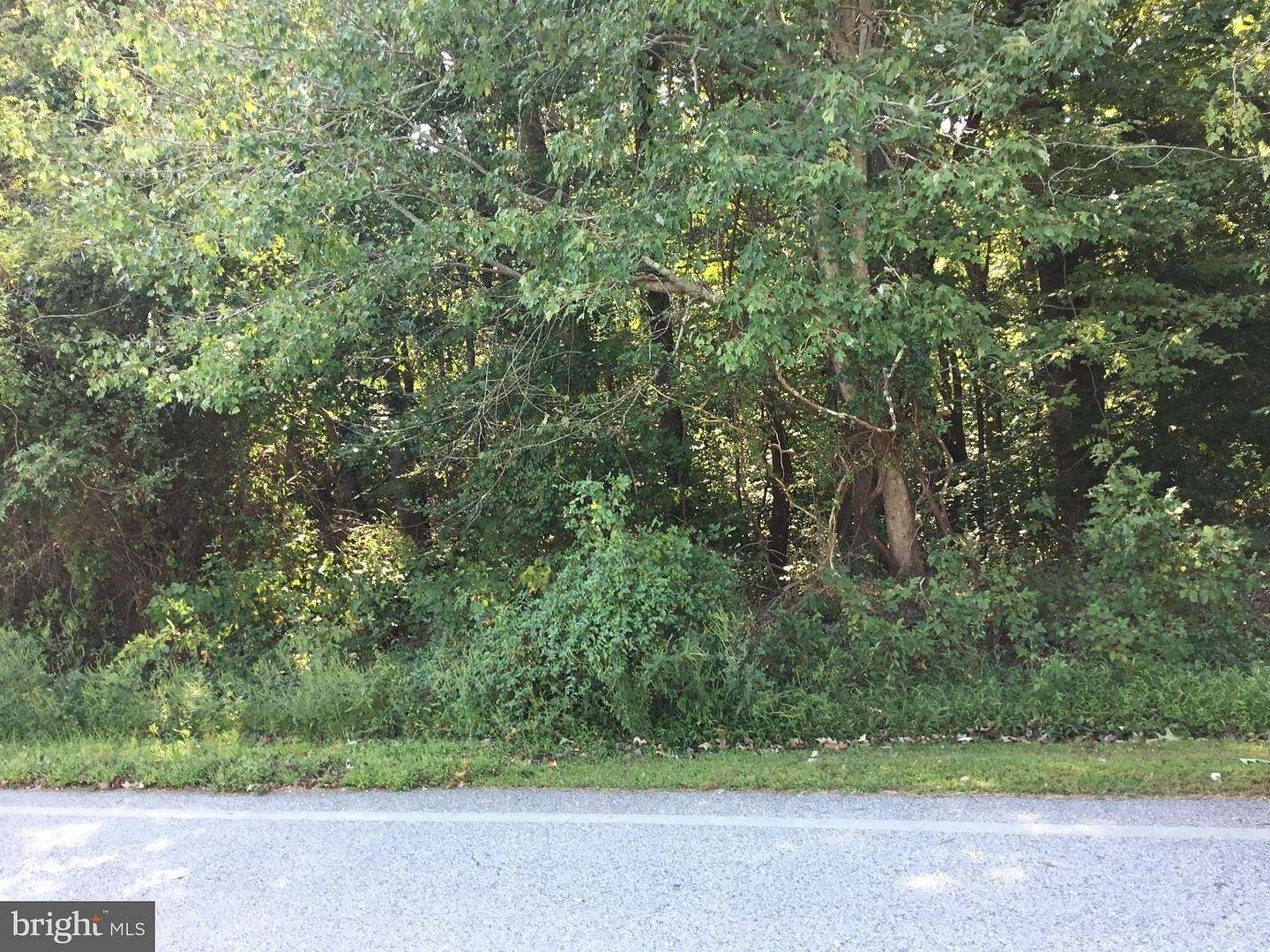 10.3 Acres of Land for Sale in La Plata, Maryland