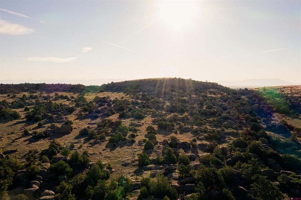 36.5 Acres of Recreational Land for Sale in Del Norte, Colorado