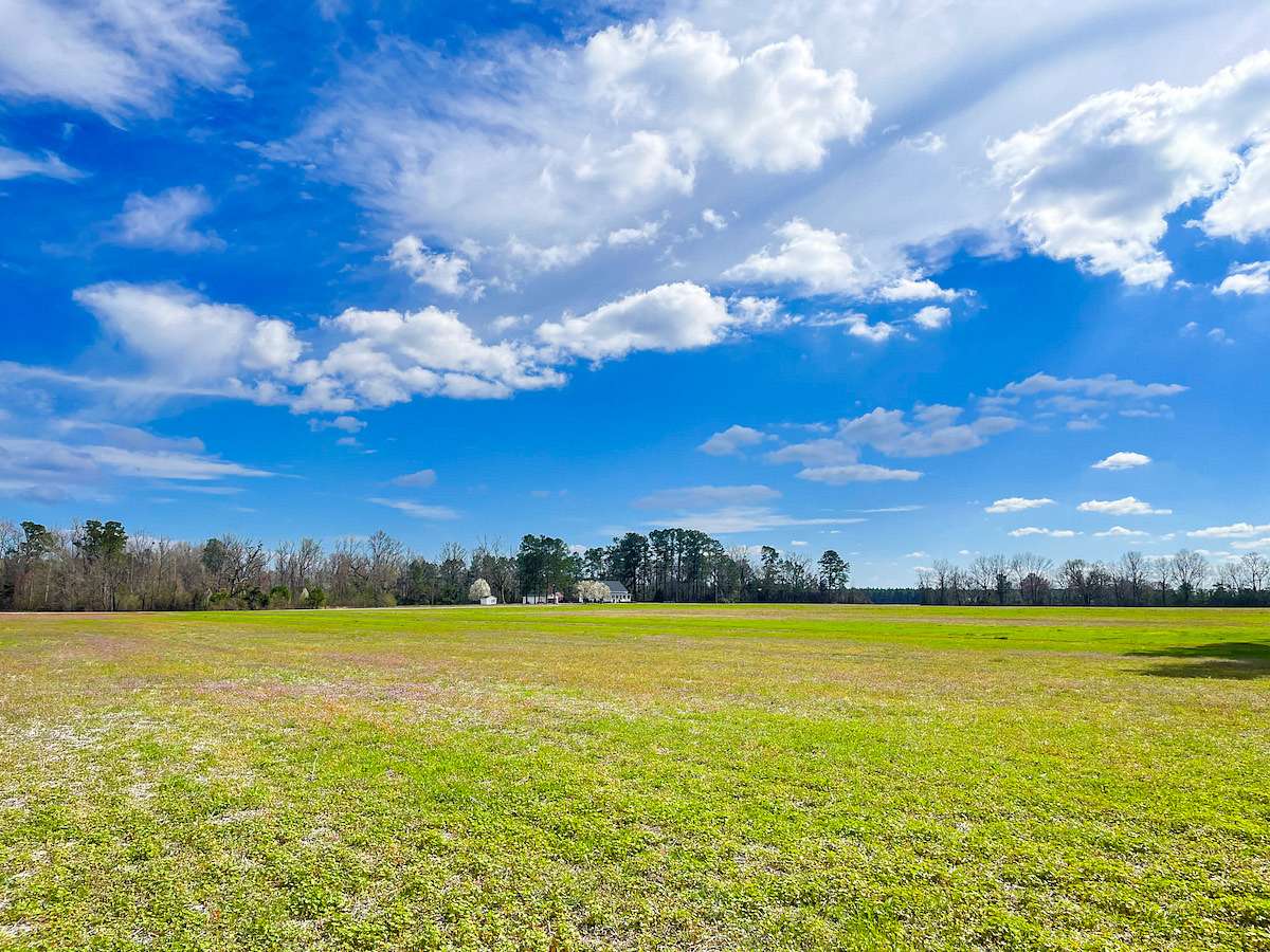 81.6 Acres of Recreational Land & Farm for Sale in Fork, South Carolina