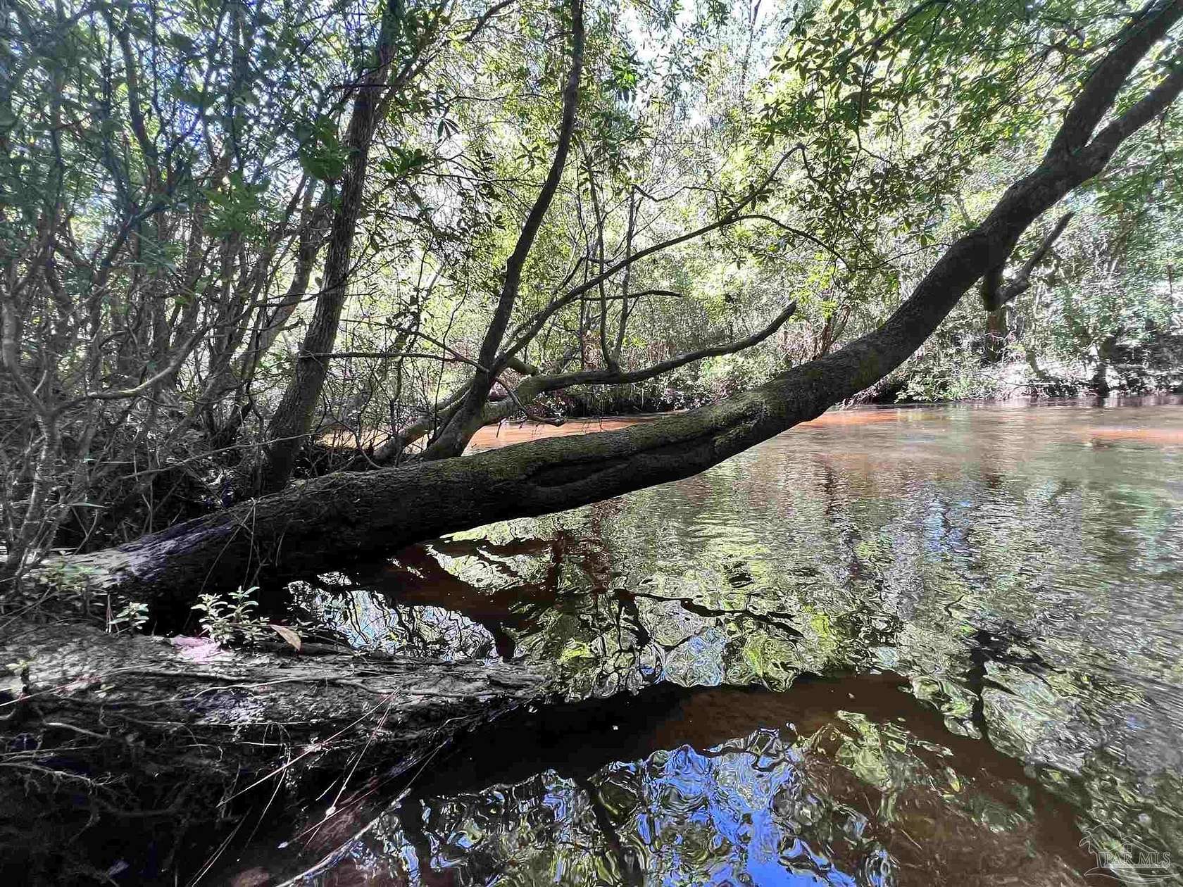 17 Acres of Recreational & Residential Land for Sale in Milton, Florida