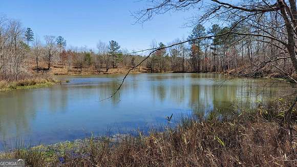 264 Acres of Recreational Land with Home for Sale in Franklin, Georgia