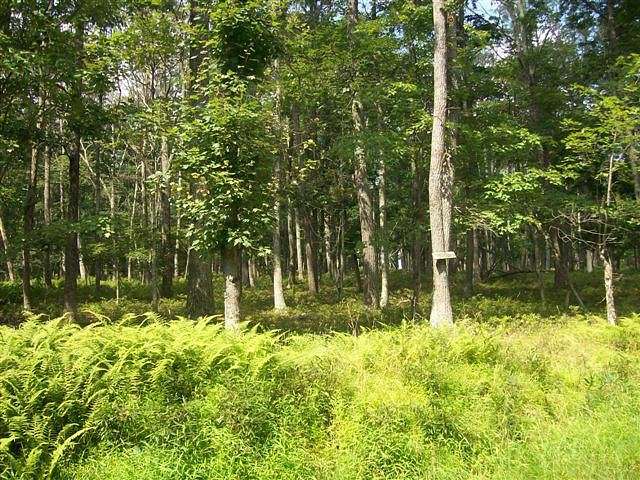 0.6 Acres of Land for Sale in Hawley, Pennsylvania