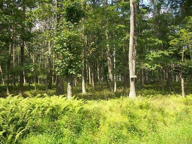 0.6 Acres of Land for Sale in Hawley, Pennsylvania