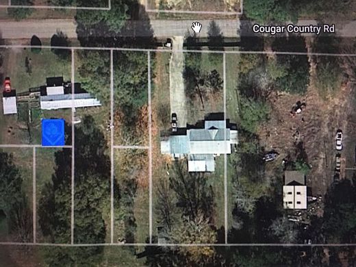 0.29 Acres of Residential Land for Sale in Buna, Texas