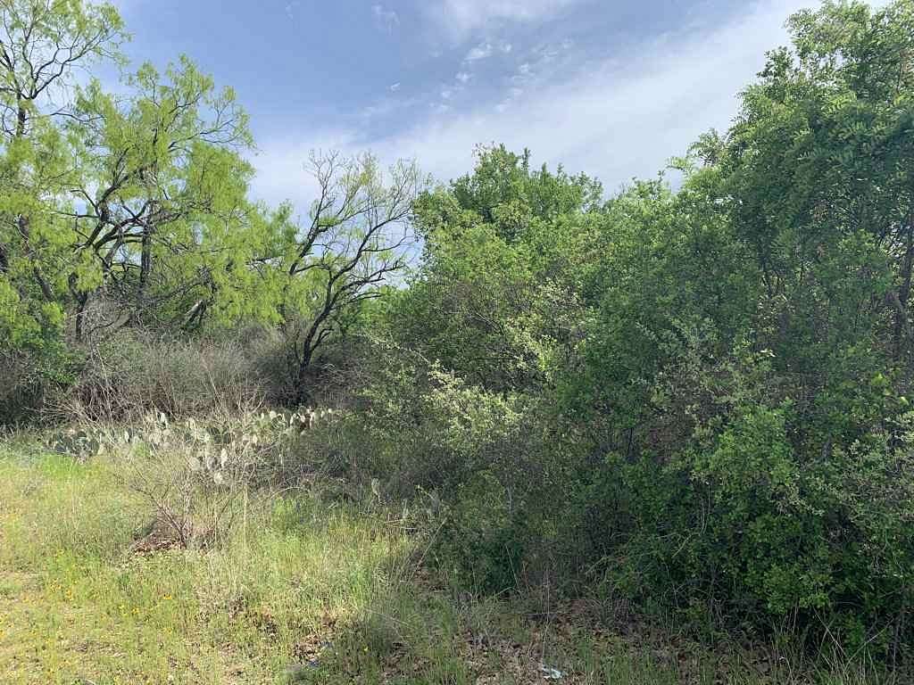 0.35 Acres of Land for Sale in Kingsland, Texas