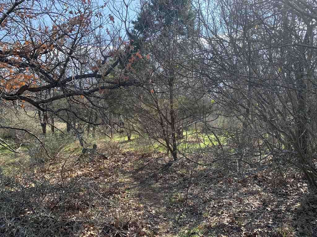 2 Acres of Land for Sale in Kingsland, Texas