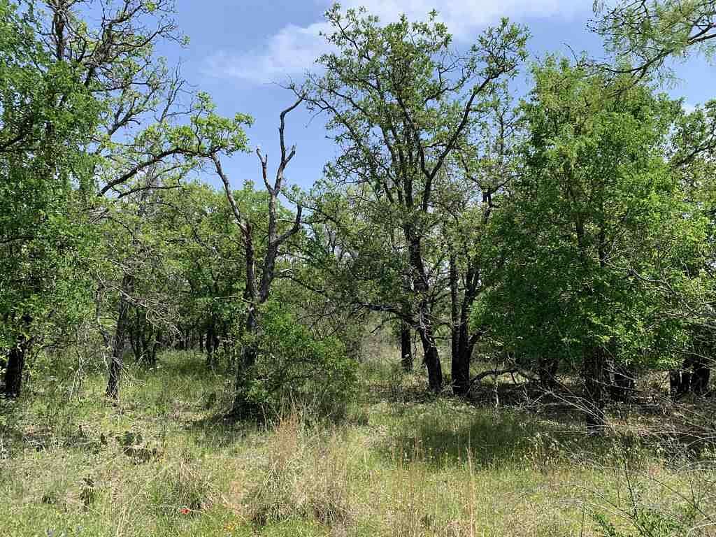 2 Acres of Land for Sale in Kingsland, Texas