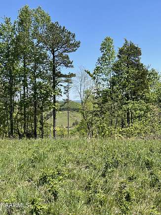 40.7 Acres of Agricultural Land for Sale in Sharps Chapel, Tennessee