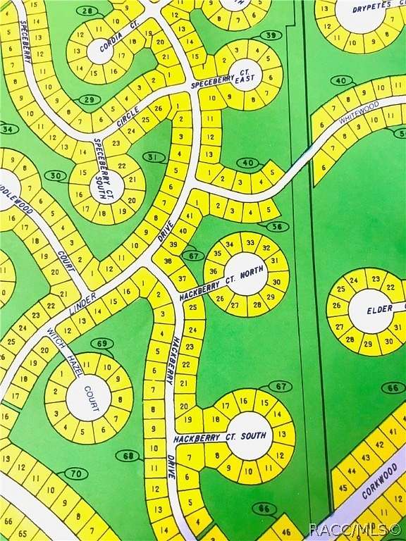 0.28 Acres of Residential Land for Sale in Homosassa, Florida