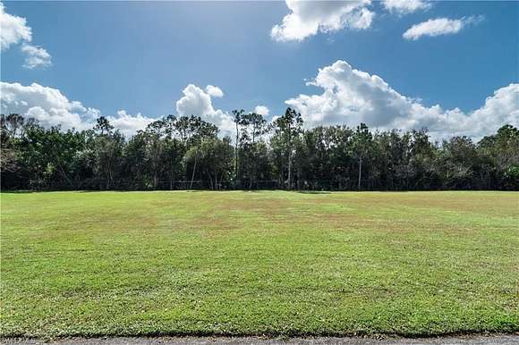 0.26 Acres of Residential Land for Sale in Naples, Florida