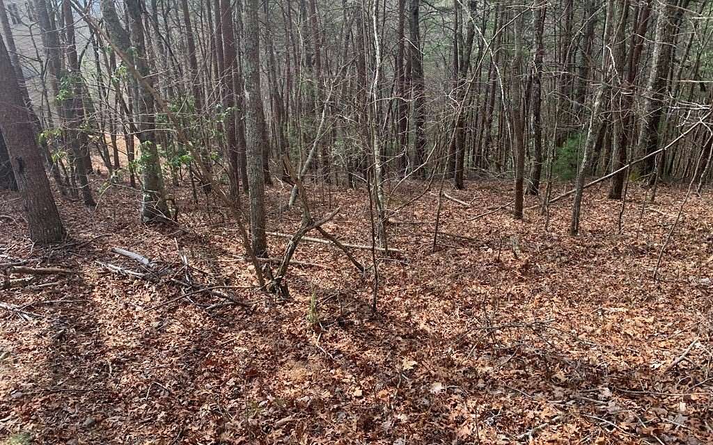 1.37 Acres of Land for Sale in Murphy, North Carolina