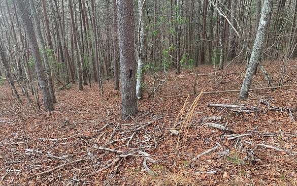 1 37 Acres Of Land For Sale In Murphy North Carolina LandSearch   Murphy Nc 106624372 