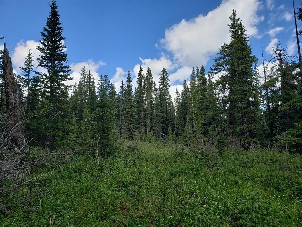2 Acres of Residential Land for Sale in Fairplay, Colorado