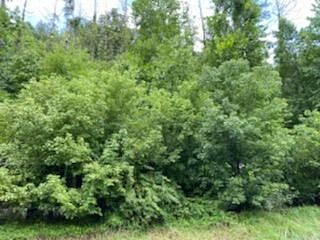 2 Acres of Residential Land for Sale in Tomahawk, Kentucky