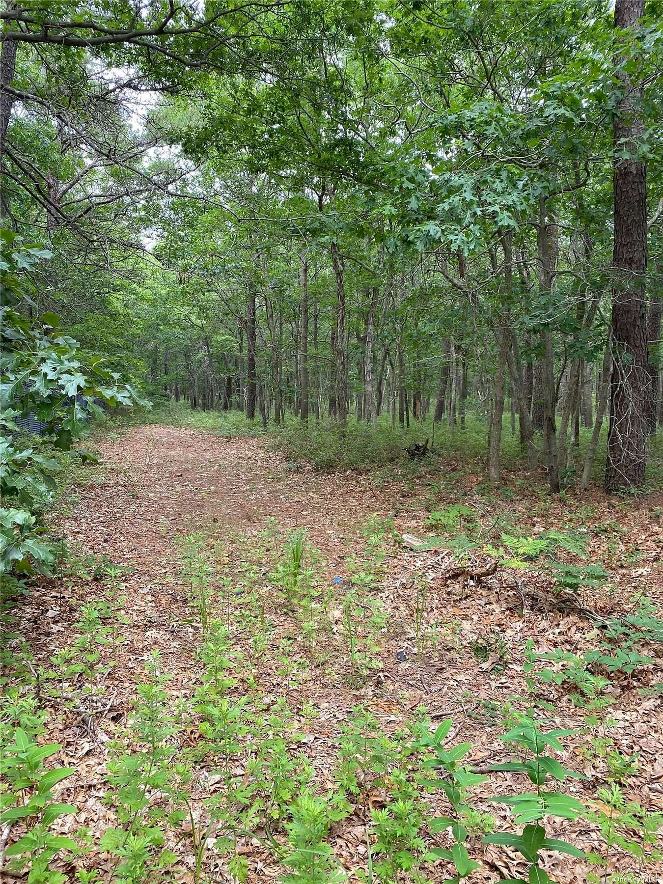 5 Acres of Land for Sale in Manorville, New York