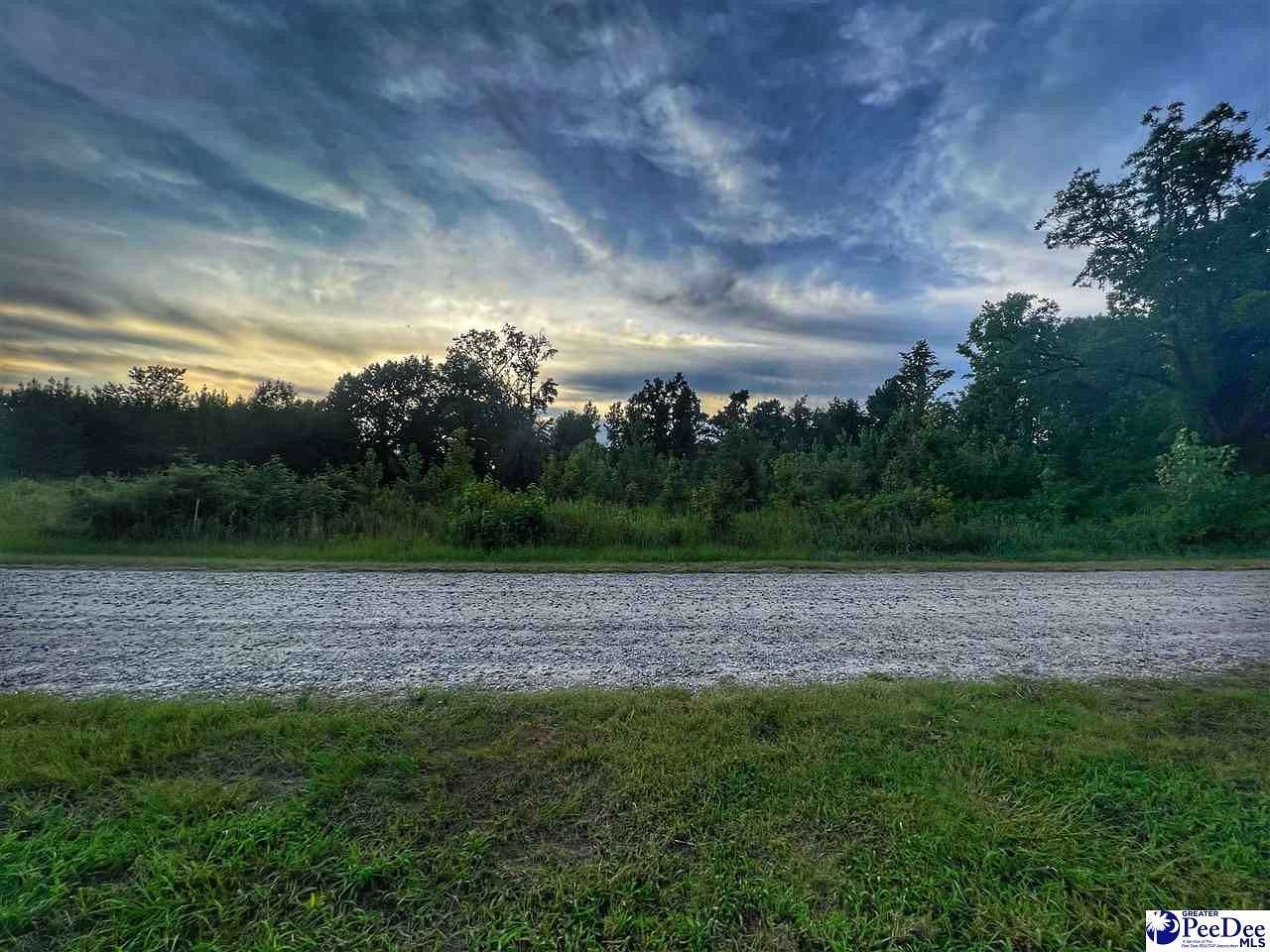 0.59 Acres of Residential Land for Sale in Dillon, South Carolina