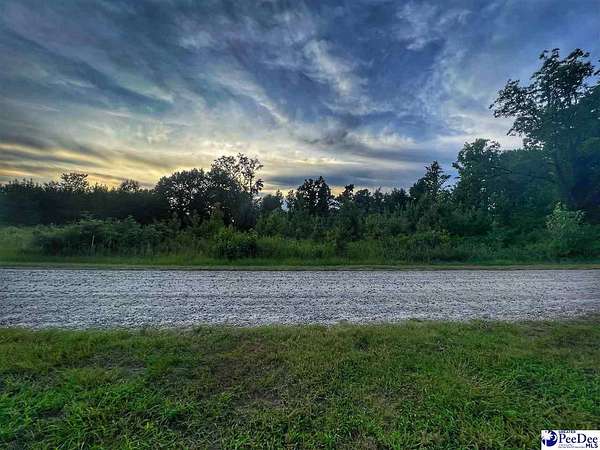 0.59 Acres of Residential Land for Sale in Dillon, South Carolina
