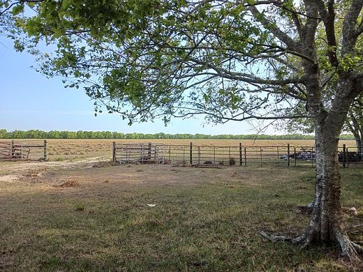 74.6 Acres of Agricultural Land with Home for Sale in Angleton, Texas