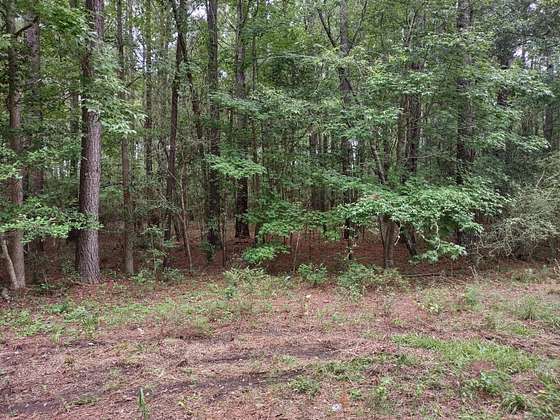 2 Acres of Land for Sale in Alvin, South Carolina