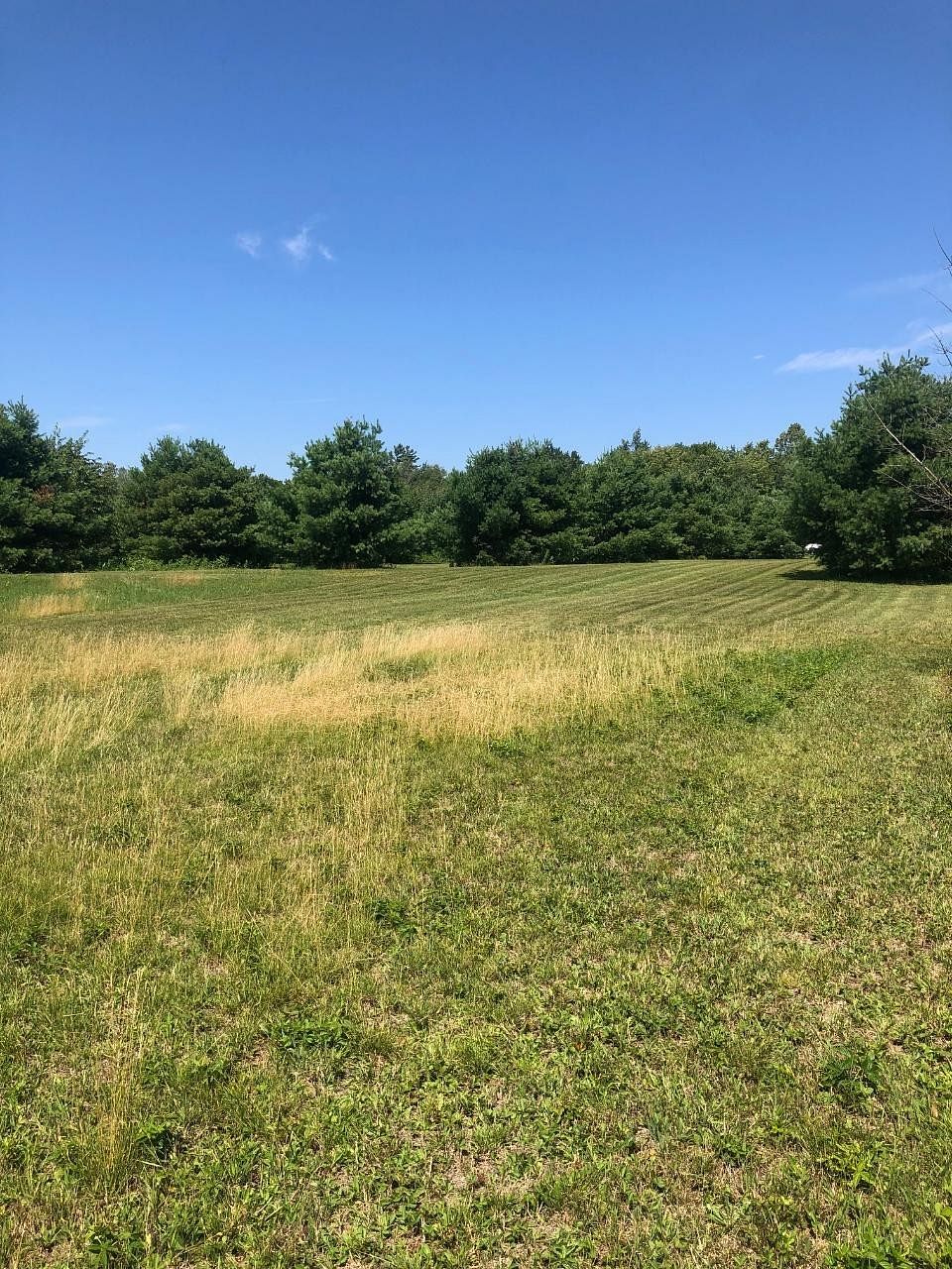 1.6 Acres of Land for Sale in Mercer, Wisconsin