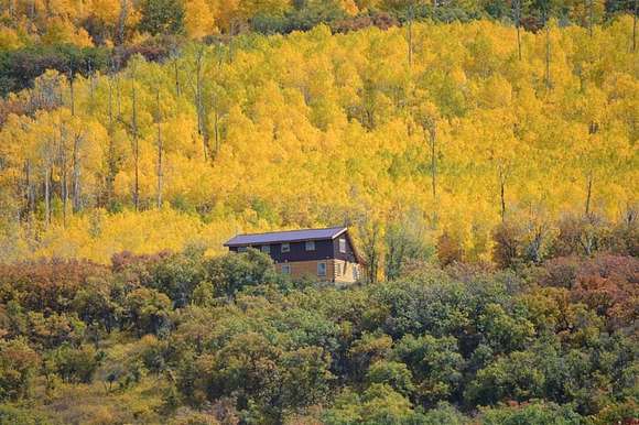 35 Acres of Recreational Land with Home for Sale in Hotchkiss, Colorado