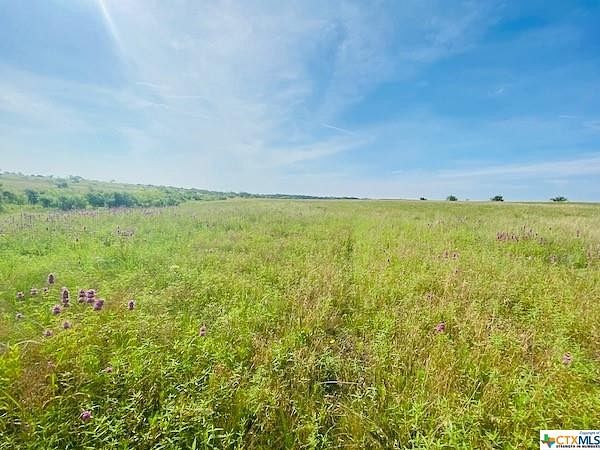 25 Acres of Agricultural Land for Sale in Bertram, Texas
