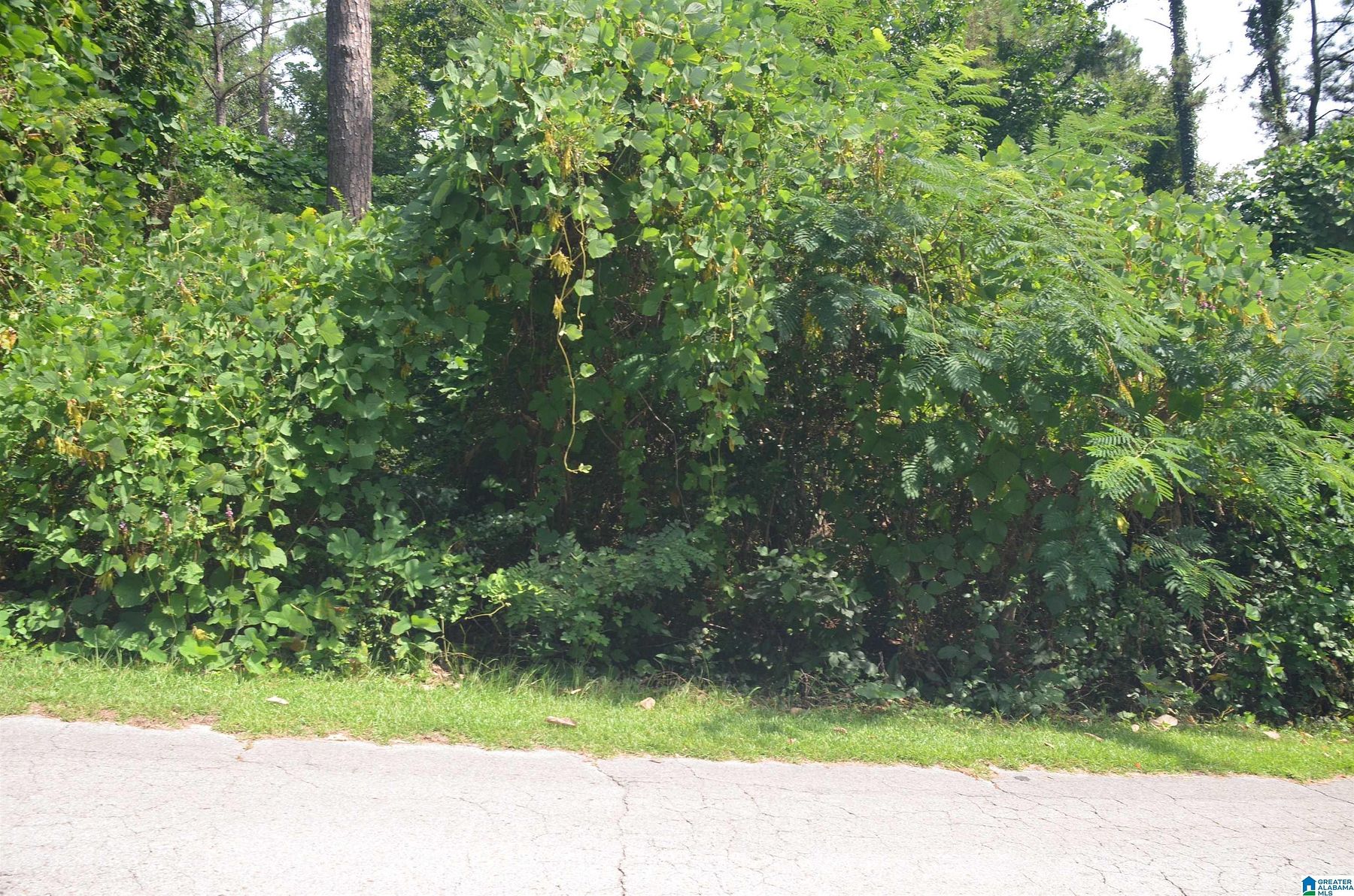 0.4 Acres of Land for Sale in Weaver, Alabama LandSearch