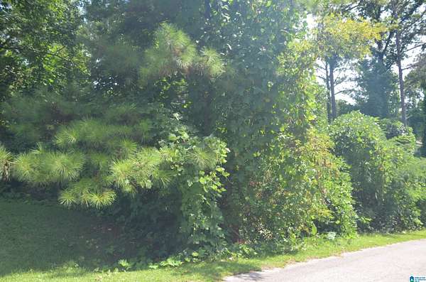 0.4 Acres of Residential Land for Sale in Weaver, Alabama