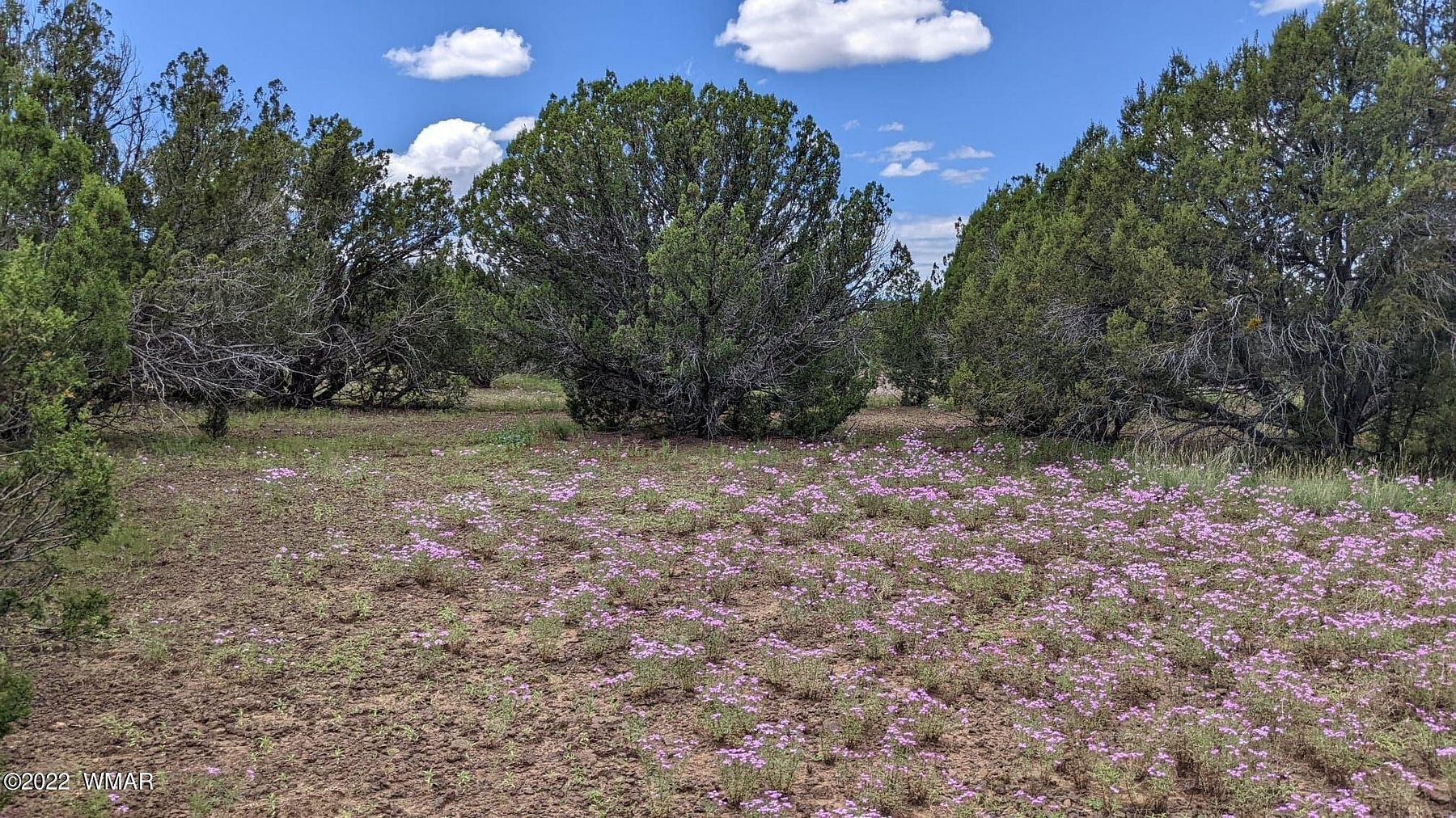 10.1 Acres of Land for Sale in Show Low, Arizona