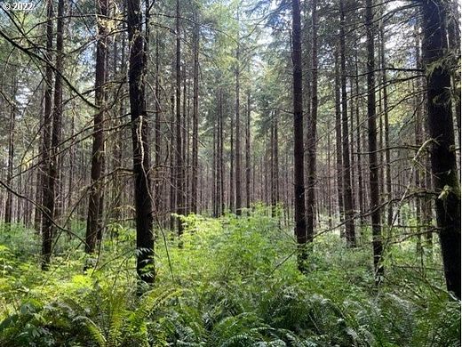 18 Acres of Land for Sale in Deer Island, Oregon