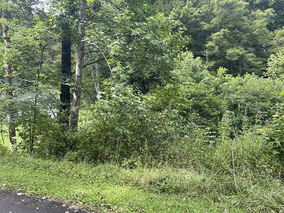 1.5 Acres of Land for Sale in Lester, West Virginia