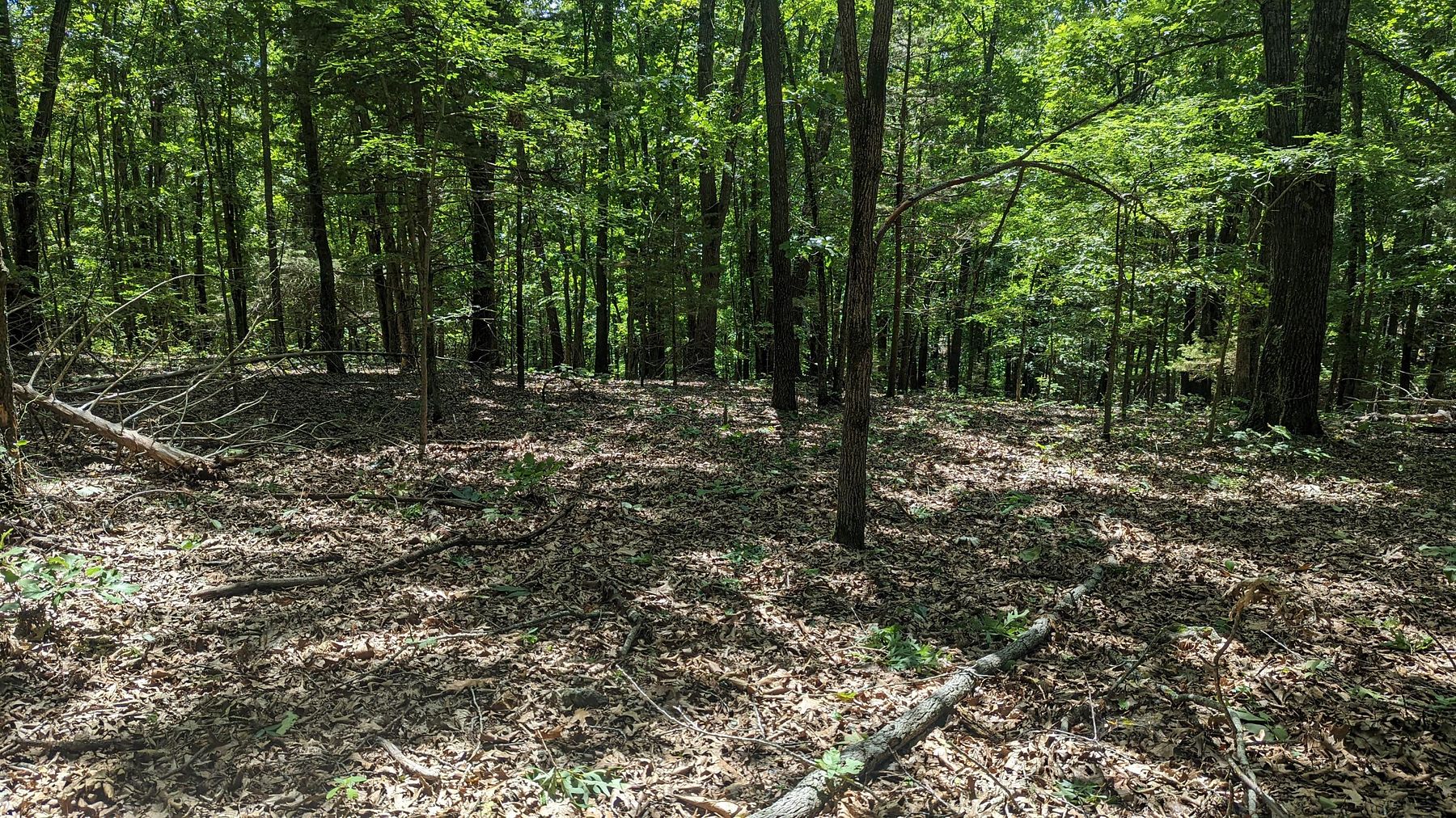 3.4 Acres of Residential Land for Sale in Cape Fair, Missouri