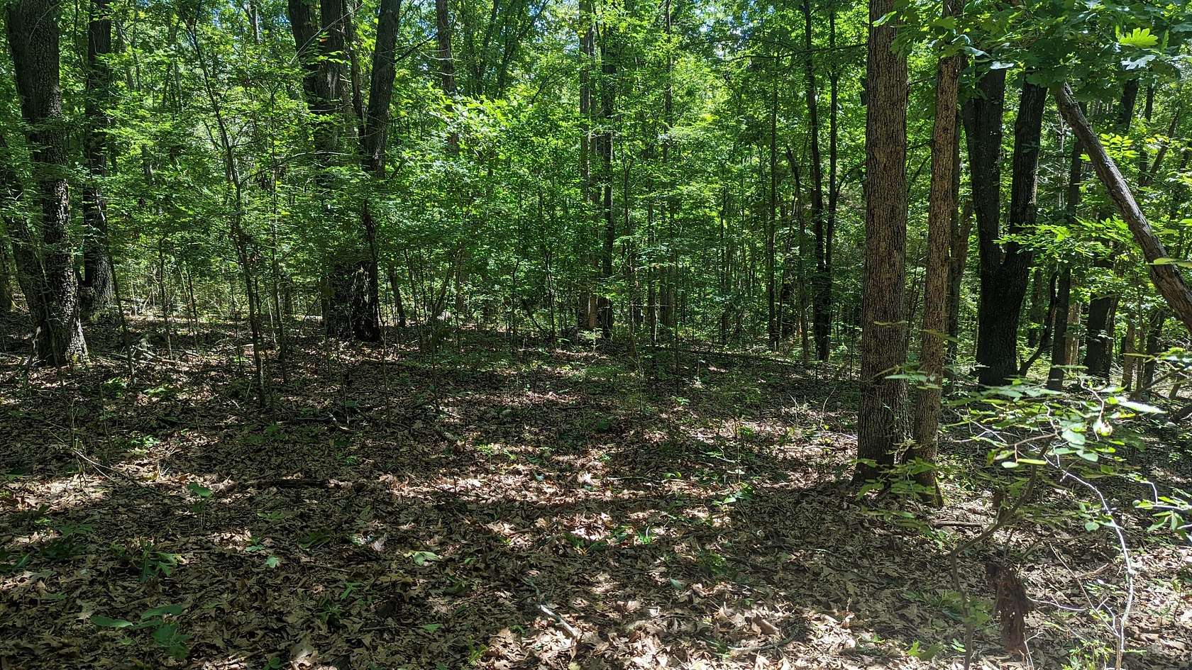 3.4 Acres of Residential Land for Sale in Cape Fair, Missouri