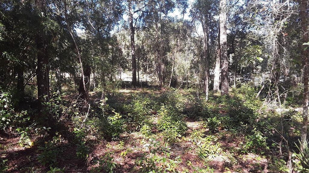 0.21 Acres of Residential Land for Sale in Citra, Florida